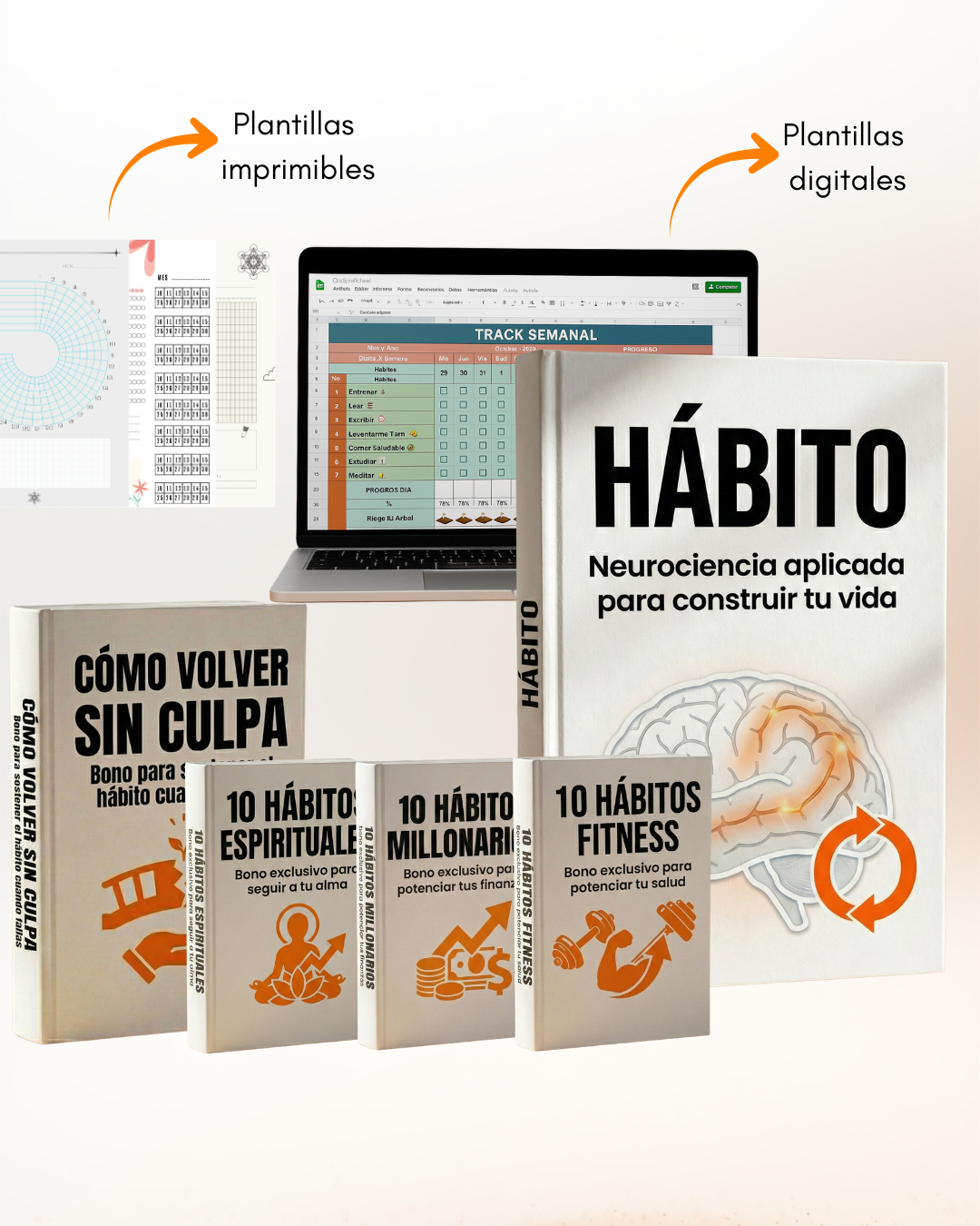 Sistema de Hábitos